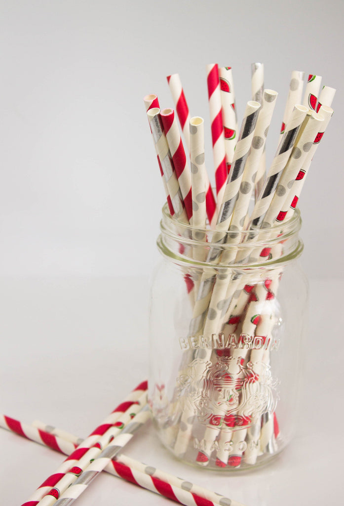 Silver, Red and Watermelon Paper Party Straws